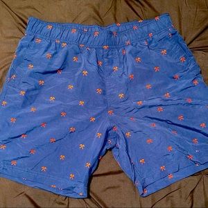 NorthFace mens swim trunks